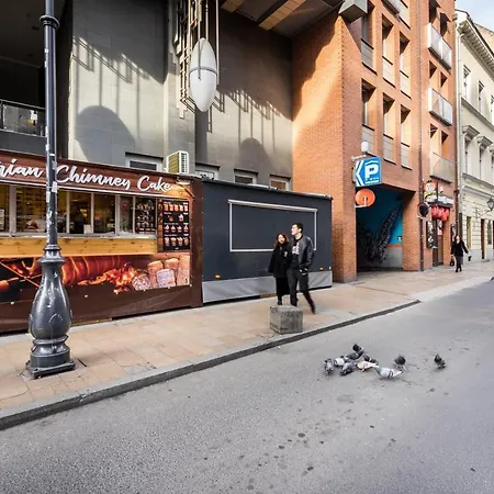 Bpr Blooming Design With A/c * Budapest